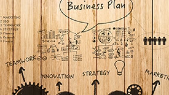 Feasibility Studies and Business Plan Feasibility Studies and Business Plan